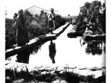 This spring, near the ruins of ancient Jericho, is known as Elisha`s Fountain. It is believed to be the one into which the Prophet cast the salt from a new curse and healed these waters. An early photograph.